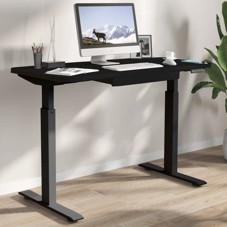 Motionwise 121.9 cm x 61 cm (48 in. x 24 in.) Height Adjustable Desk T9735