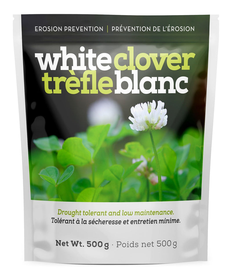 White Clover Erosion Control Grass Seed 500g S0901